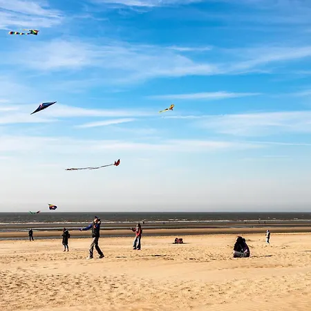 Montreal G008 You, Me & The Sea